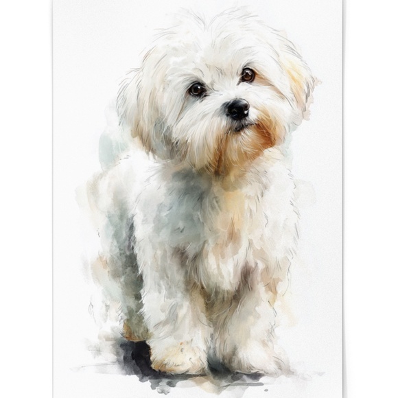 Watercolor White Maltese Dog Portrait Wall Art Print Poster, Unframed - Picture 2 of 5